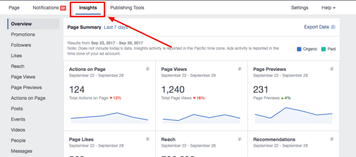 Using Facebook Insights