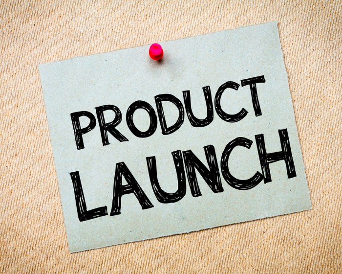 Launching a Product Online