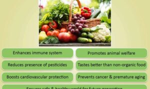 Organic food benefits