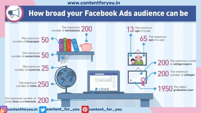 Developing Facebook Ad Campaigns